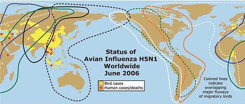 Wetlands International Map