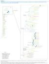 S246N Phylogenetic Tree