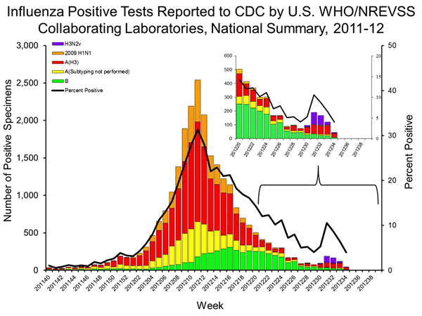 FluView Week 34 Serotypes