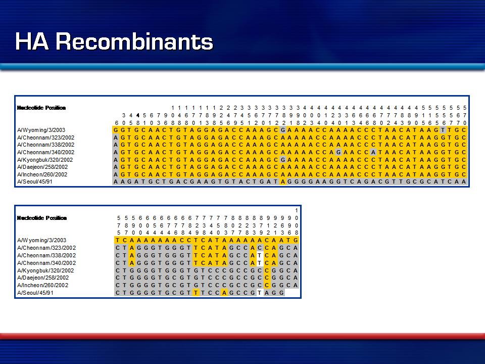 HA H3N2 Recombinants